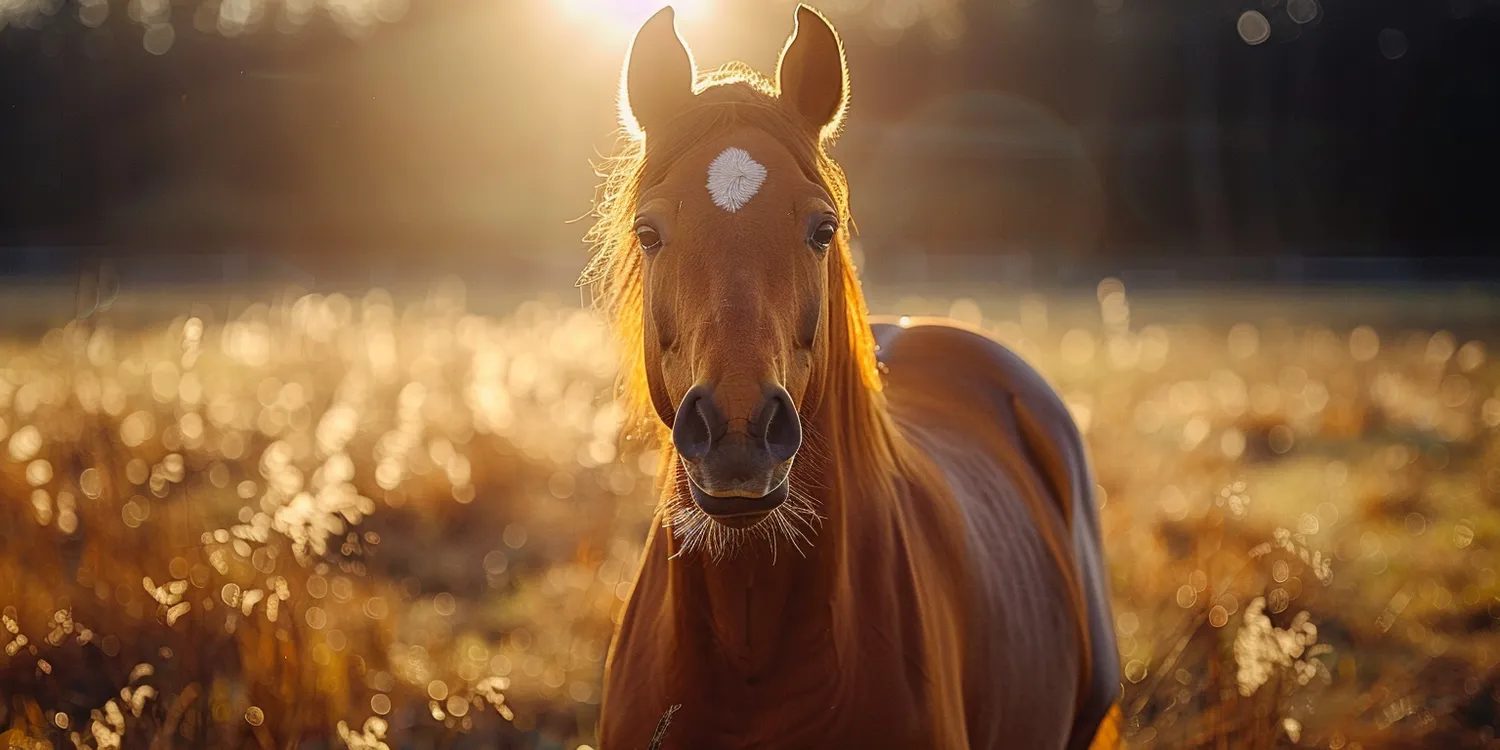 Trawa z rolki jak często podlewać?